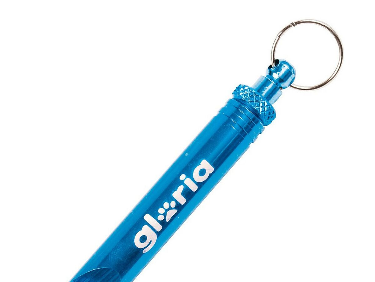 V5H7E6D1118AF35E4E84339F21E6F8F878FR5575754P1