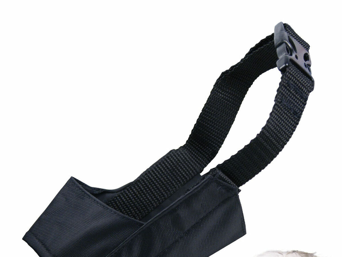 V9H464D5AAED95CAC0D8BFD5DD792AEE0B3R2387035P1