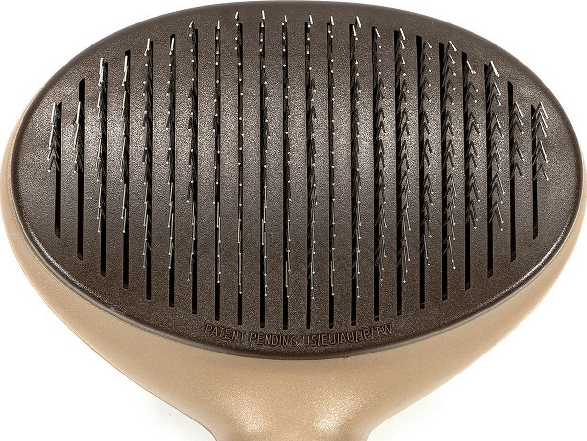 V12H944FE00EE45DDB2F6E6E5F5E970D0CD4R4905418P10