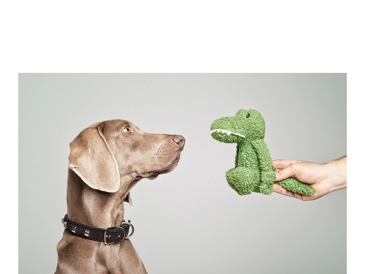 V11HCB169EA2146E62E15CA4DC91E3A02898R5572660P2