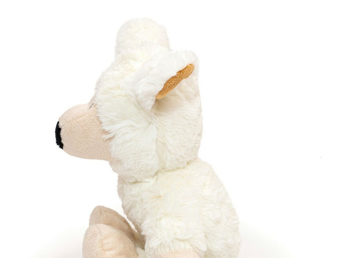 V12H08B6A6E1E98FC852E549E2245C498EC6R4960545P6