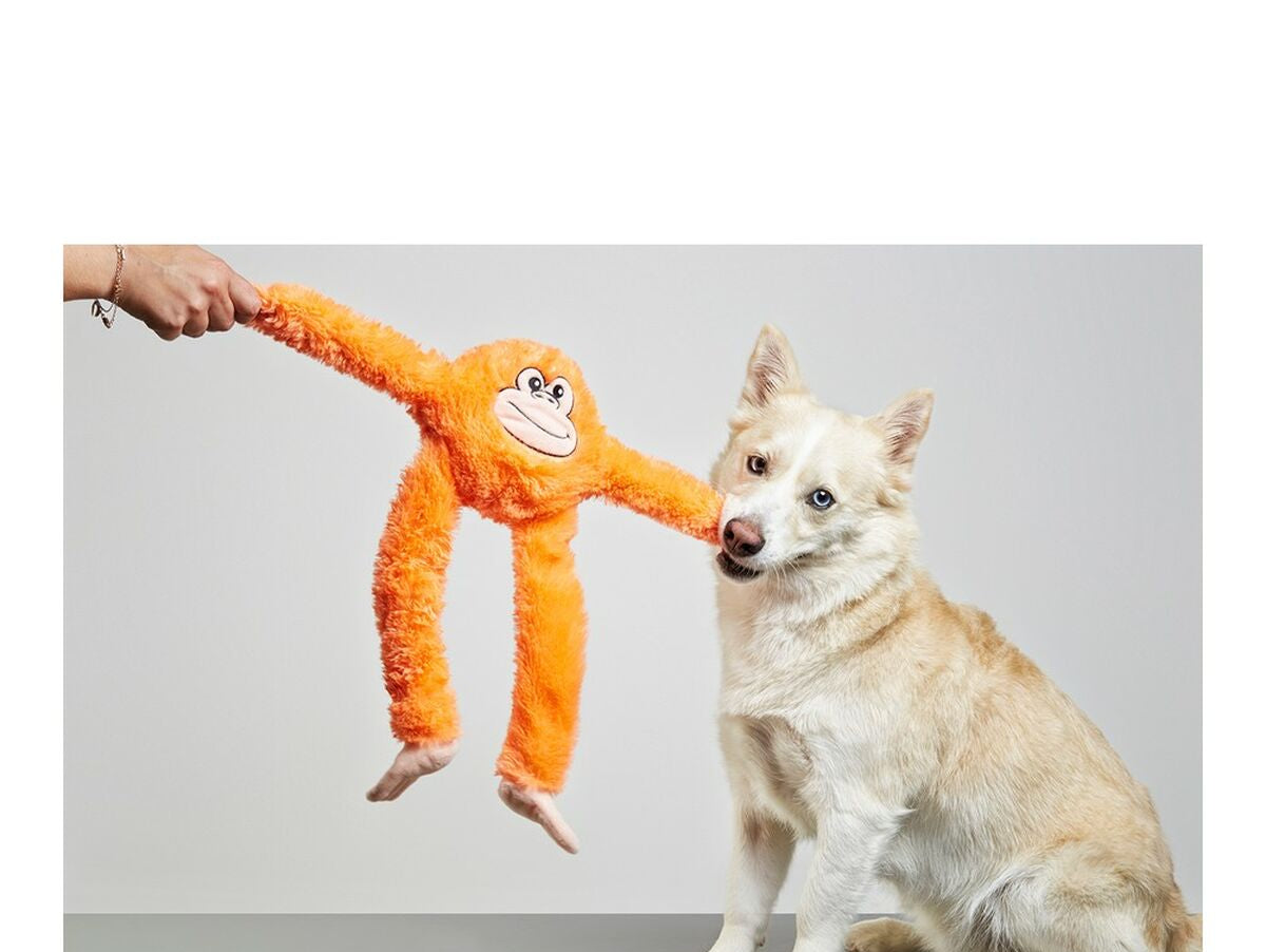 V13H8F07D11A2C5EAD56DBD5F6502D4E6F4CR5568183P3