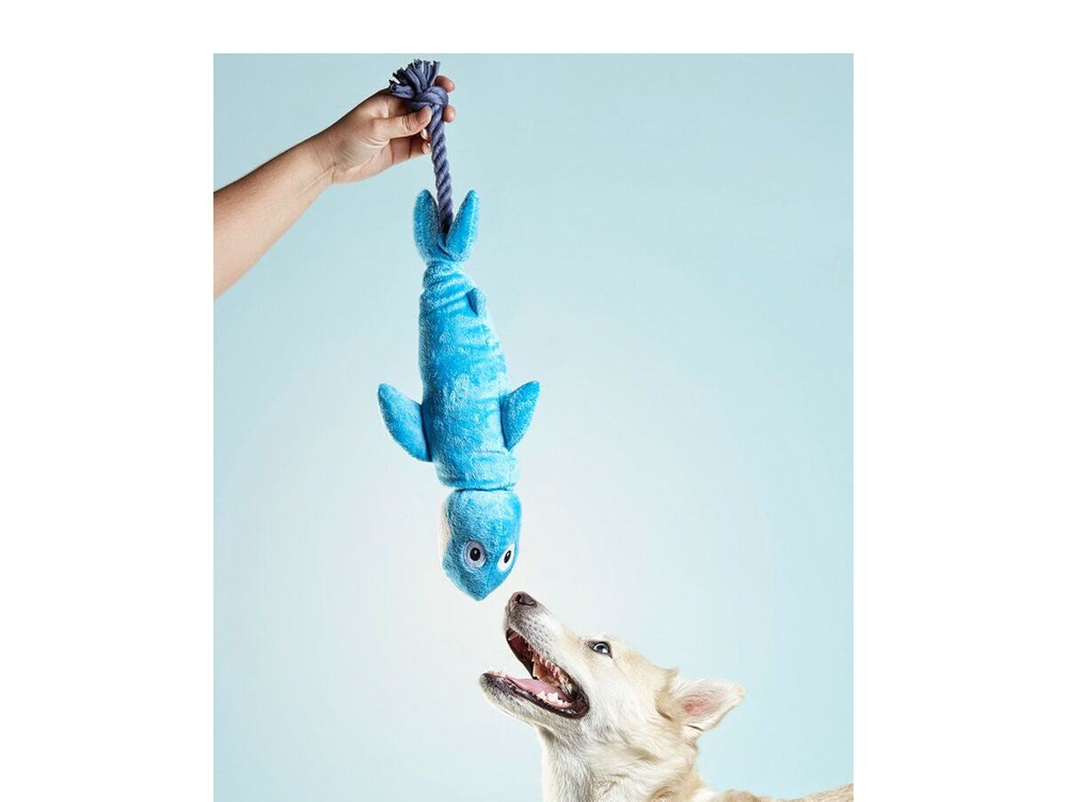 V12H3D36E0FEDCF1C8041B5F16820DC49B4ER5568071P2