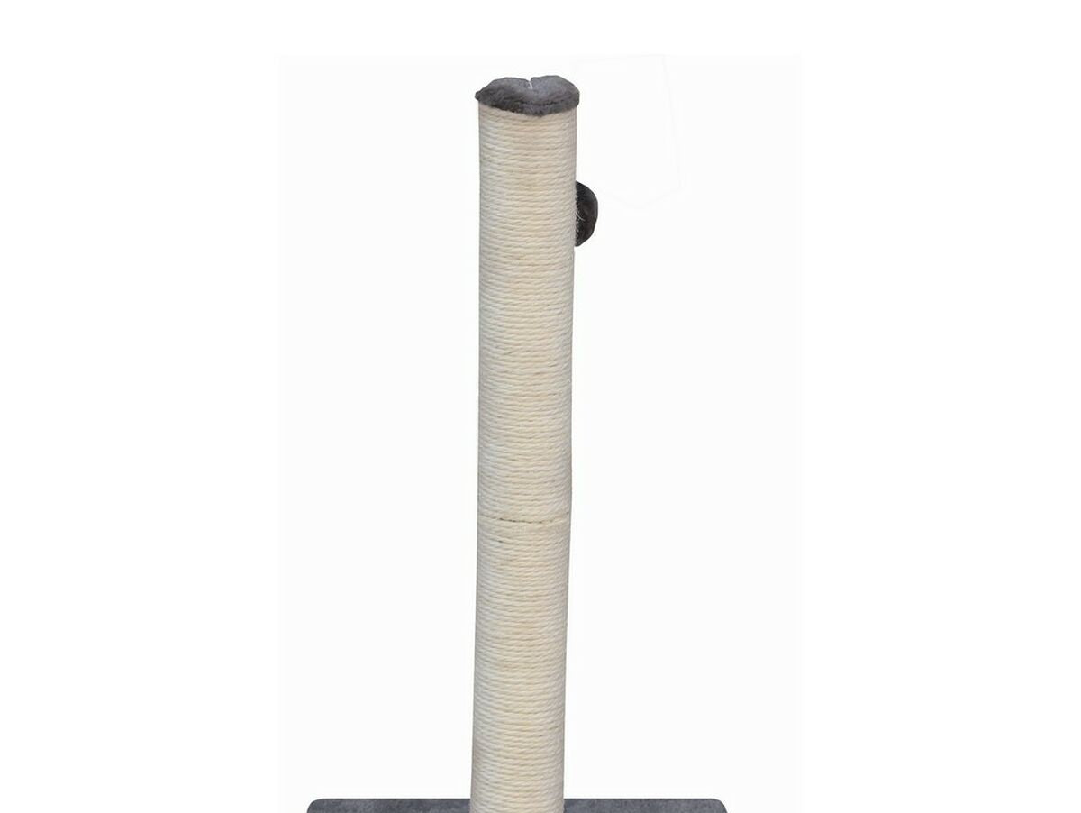 V7H3E0F0A4586FC94E0A0E9F0B11E40C92AR6397066P1