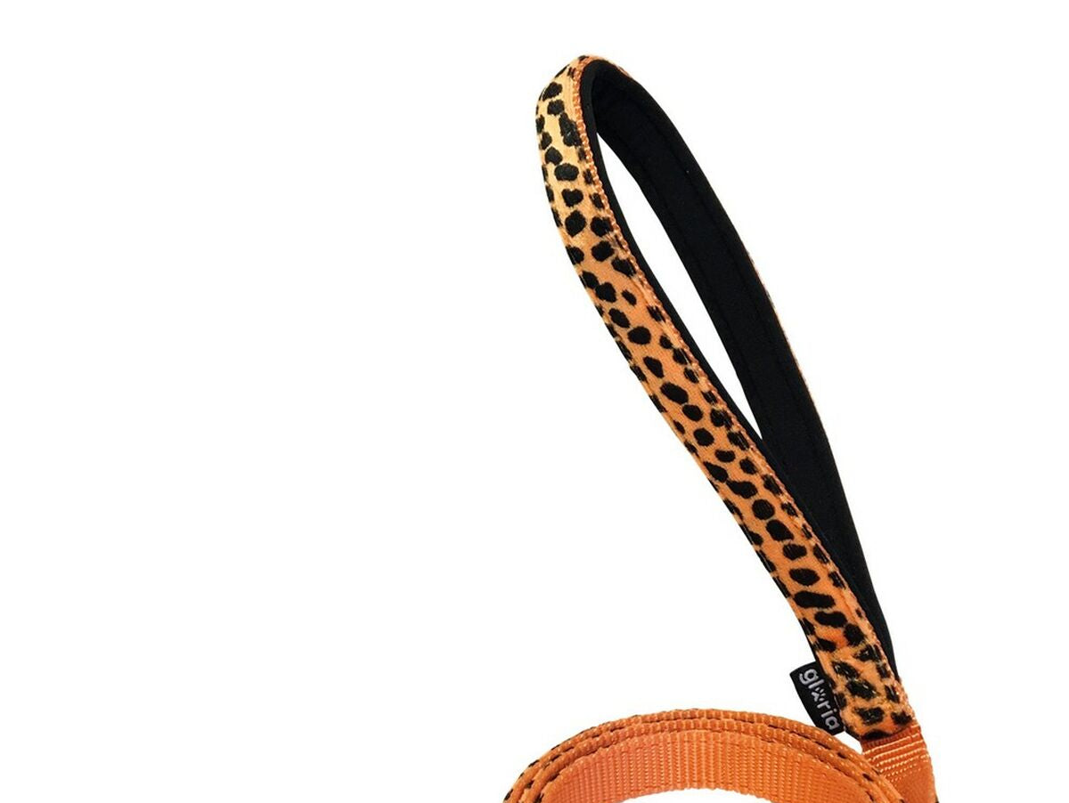 V10H005265613EC2EF900E73E9107A0C8B26R5597877P1