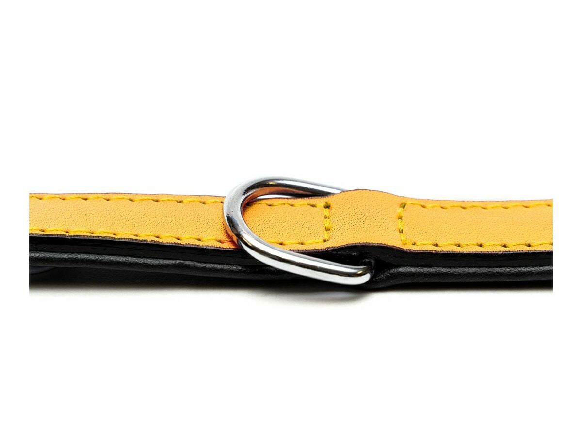 V11H9B5D4B9F383F08C88D5BD616667D4E15R4534950P6