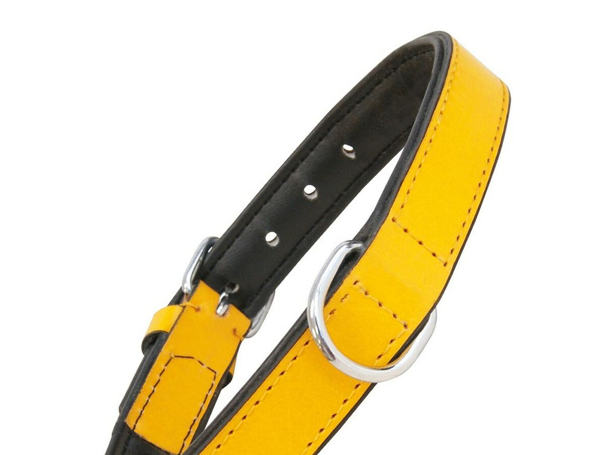 V11H3927DA47F956913062CBA539A376F0E7R4596240P1