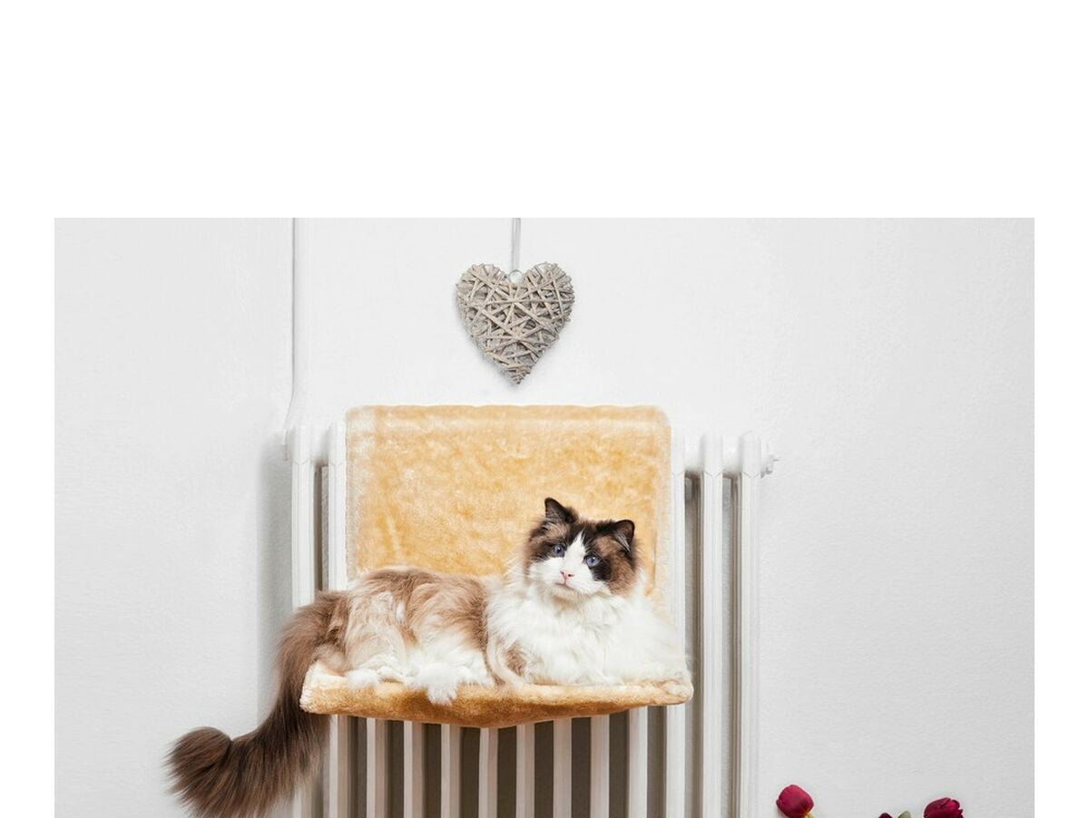 V12HEDD4227FEB3DD88E71AFEBA587E0E505R1650386P1