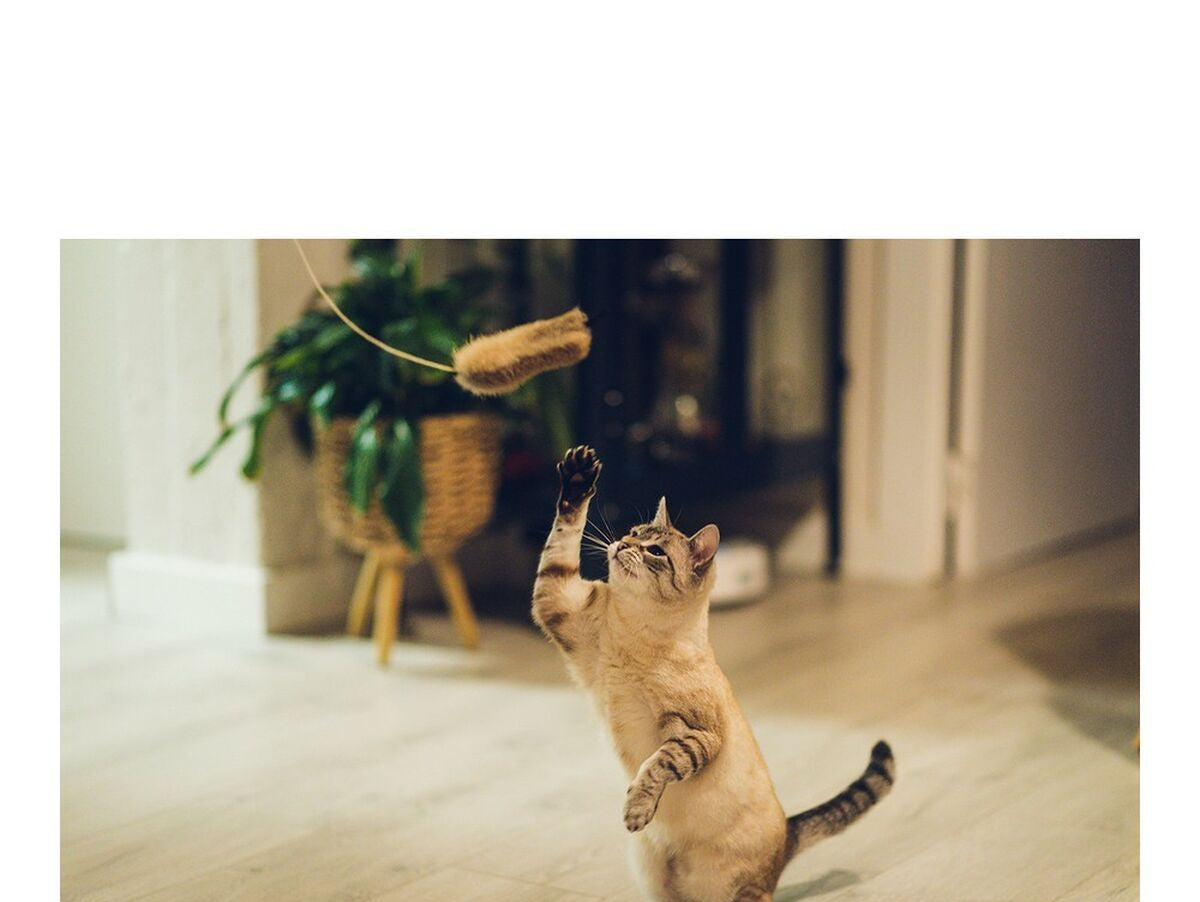 V12HFF07DEA3F82DF183A9595A6C68ADC124R4263182P4