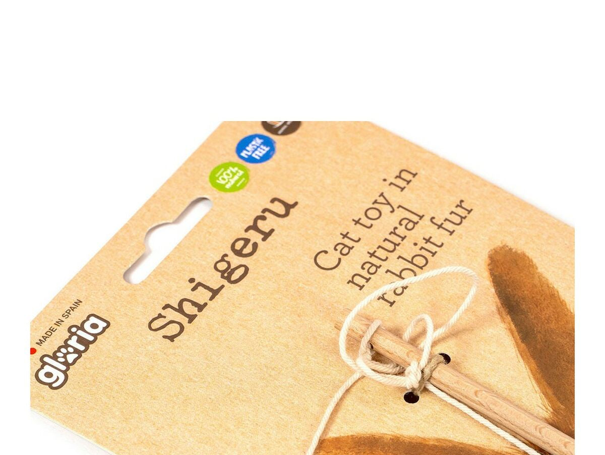 V12H5A15E023407CC496A9C5A2A9AE41FE54R4263183P5