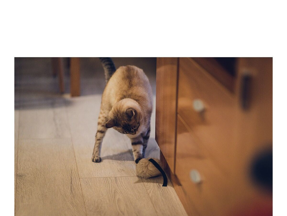 V12H19A39B3555F599D00C5621EF02F2BEFBR4108110P6