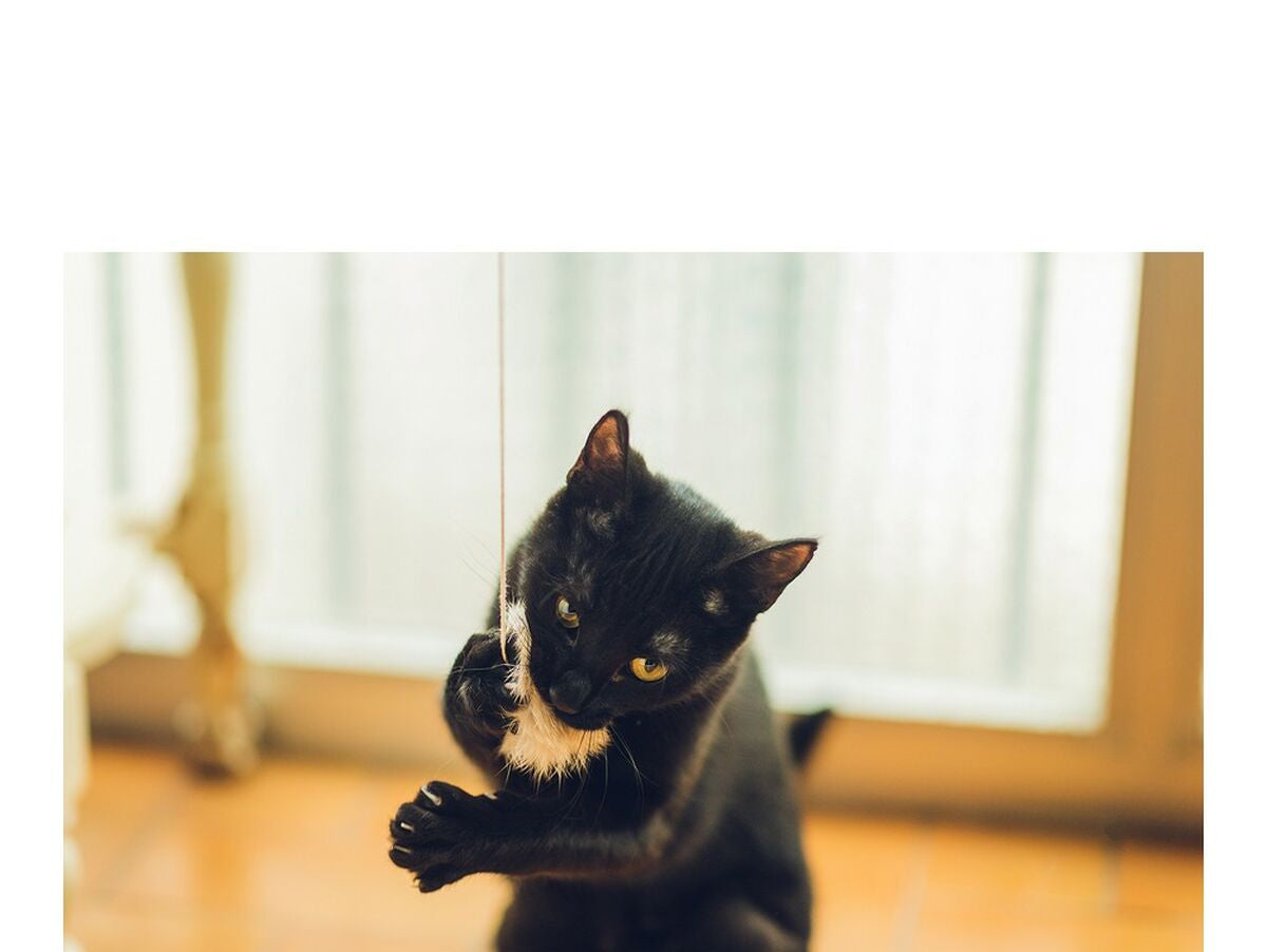 V12H850F2D8185D6DA8A04A450D6A11145A8R4263188P3