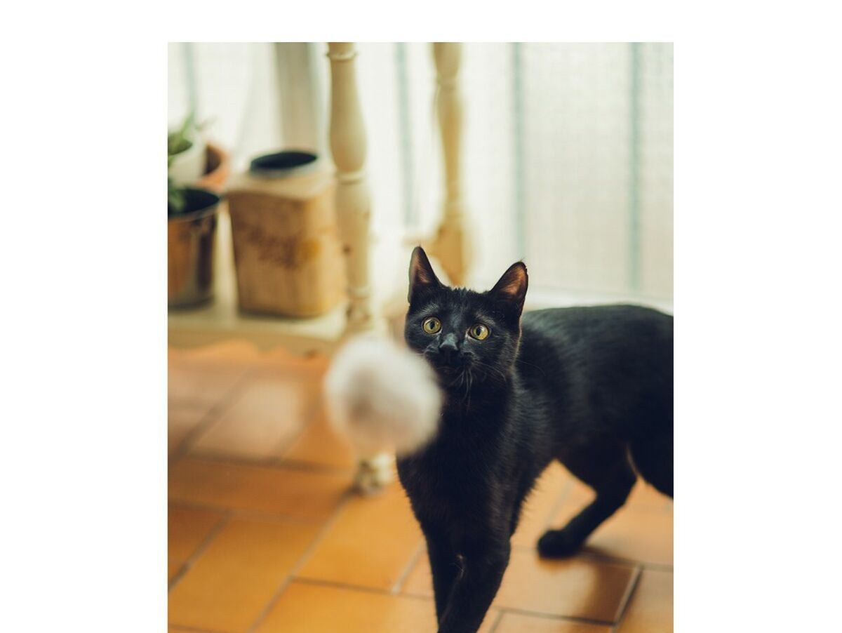 V12H9B6AC2DCFAE3A90716546D49BF96DFC6R4263195P7