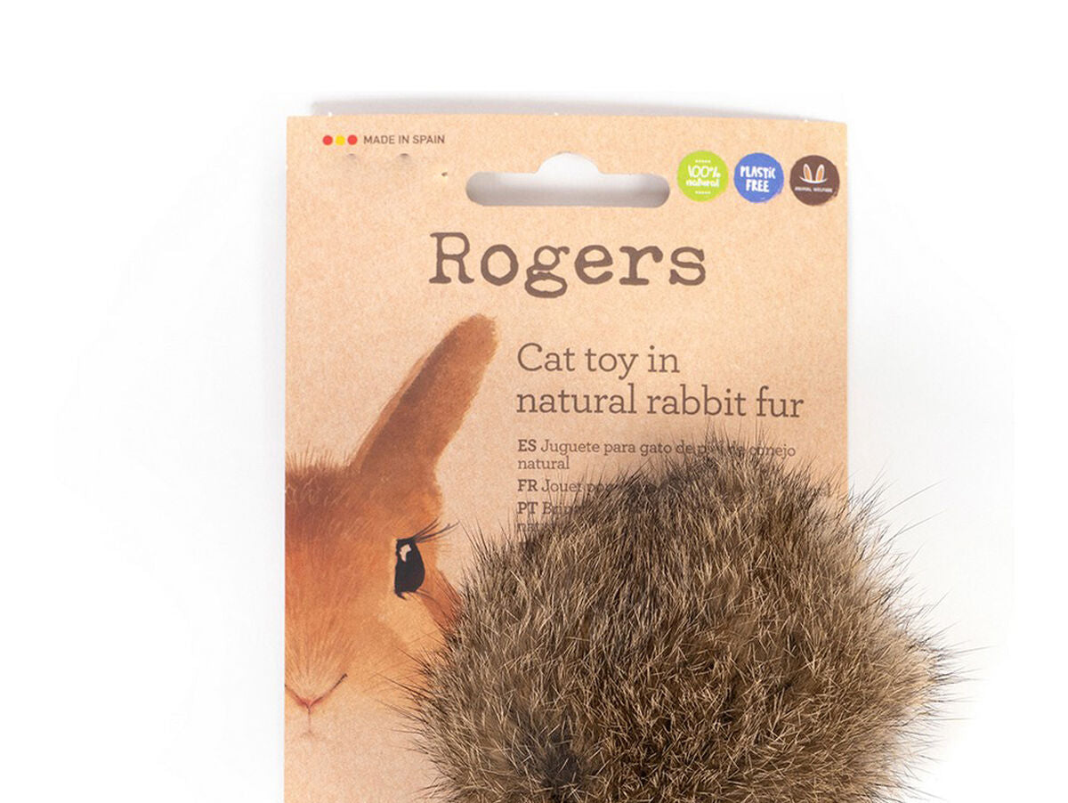 V11H77CEE23EAEDBF5F17F3A2F4A0DC5F51AR4263207P2