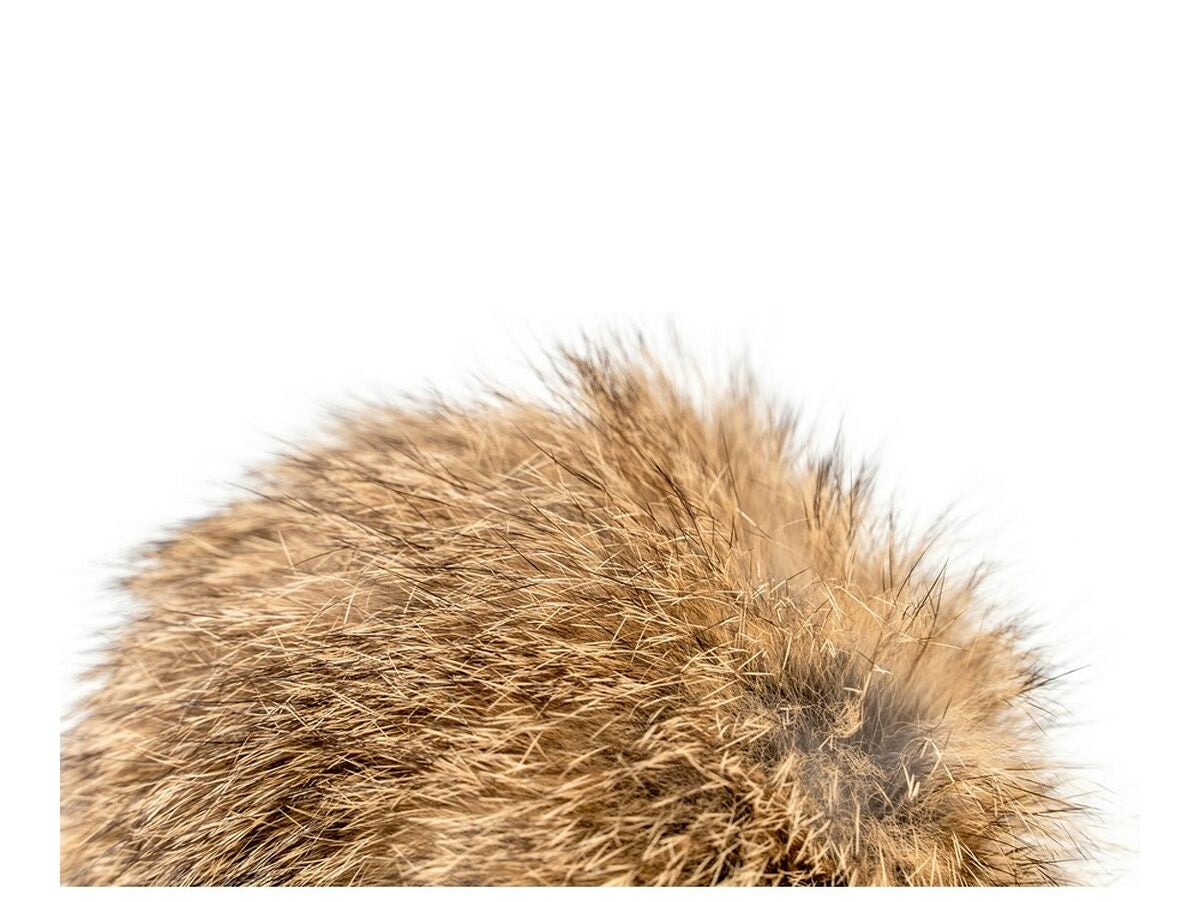 V11HB7112E8F9387F2303E57DC7D1443ED06R4263210P5