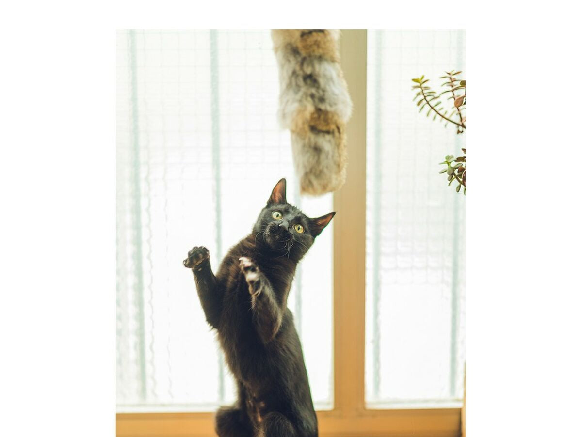 V12HA23D2A8988B4C579BB8B5D2FFA3042E8R5427558P3