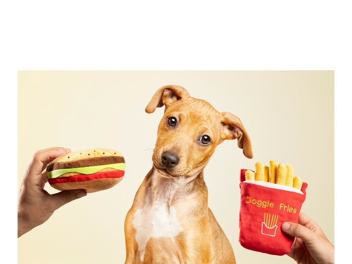 V10HC2D14228F4251F7B9A053D3A73639E70R5527641P4