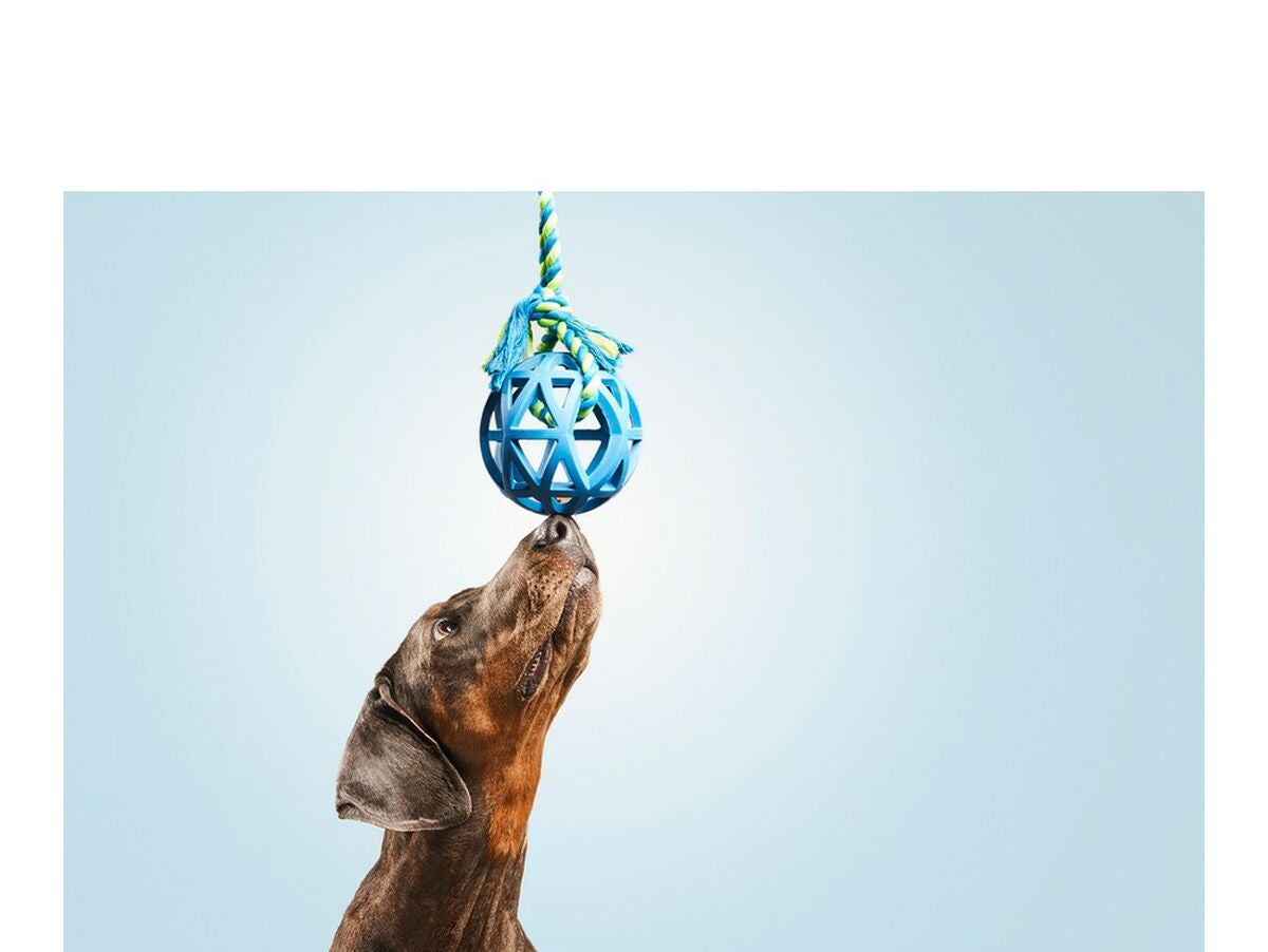 V12HAA92E02F11E92F524037B56B3D8B9B25R3946778P2