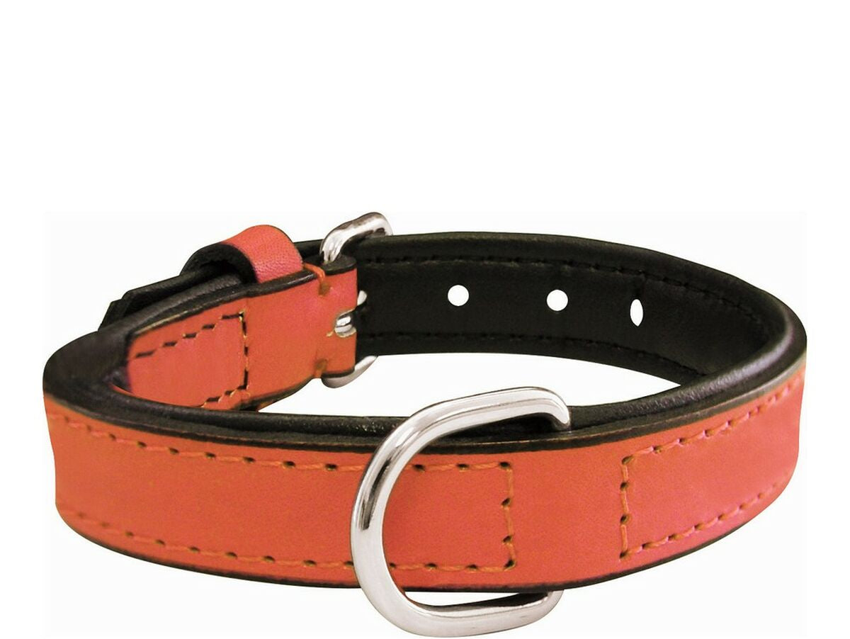 V10H764649AEE20899617FAAB56E26EC2E14R1792398P1