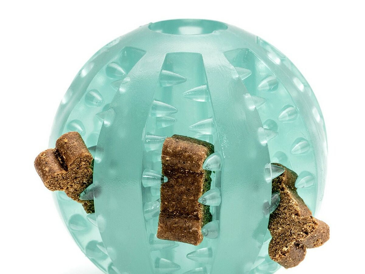 V11H8A75F9AF754B3CE5C75AD9DEB6E5DEFAR3905281P2