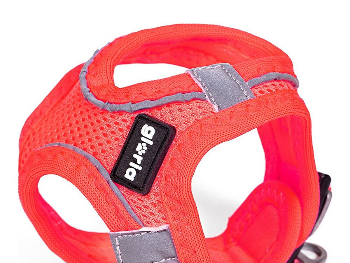 V10H1CBDEE125527C00C1A260A29BC23FE6CR5597824P4