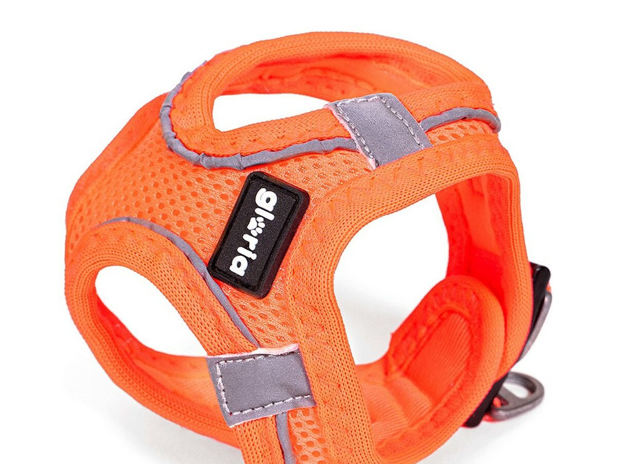 V10HB2133E75F441CB95C9D452F3EBD65082R4960677P1