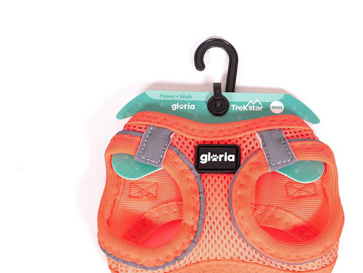 V10H56814876B2517FBE48830BC62AD07805R4960678P2