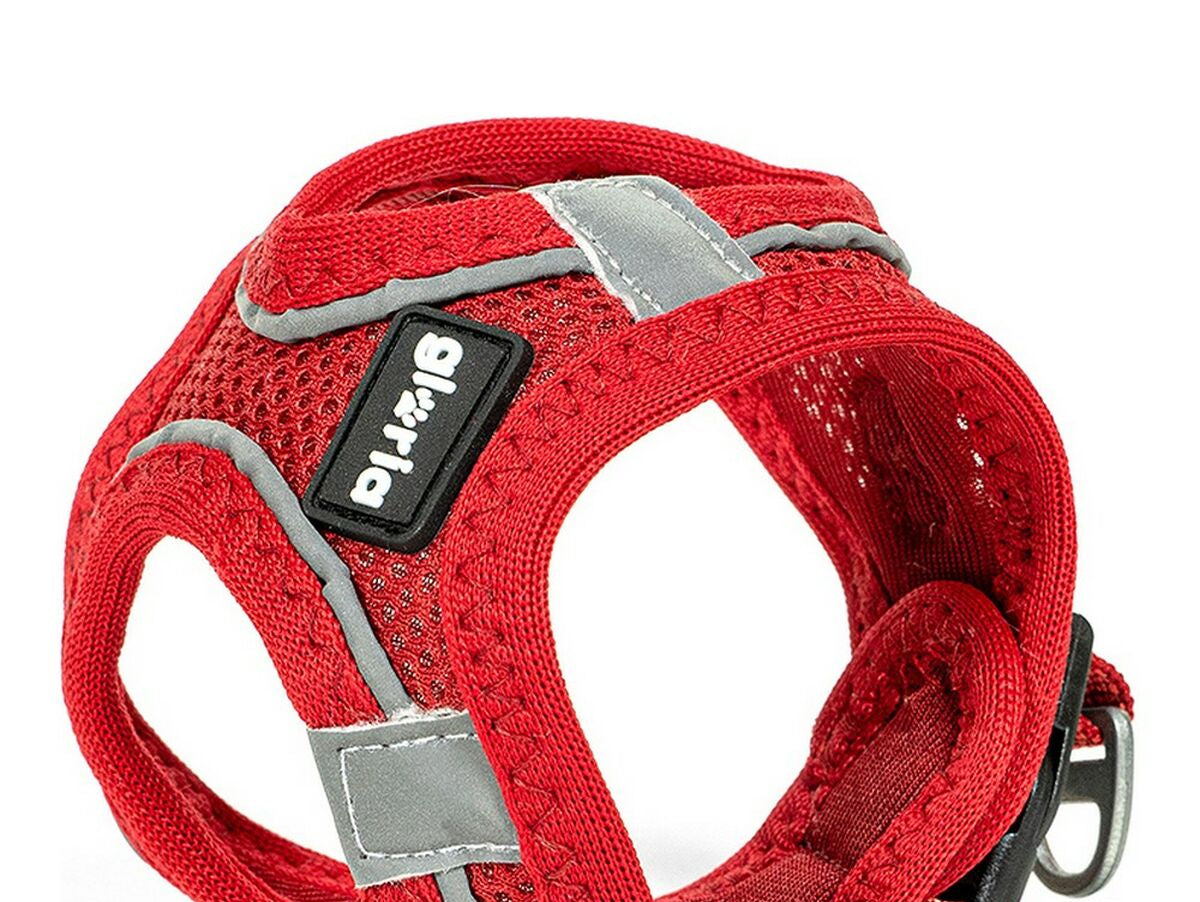 V10H24A188A0E2BC3C9DF77D438582D1F28BR5597825P1