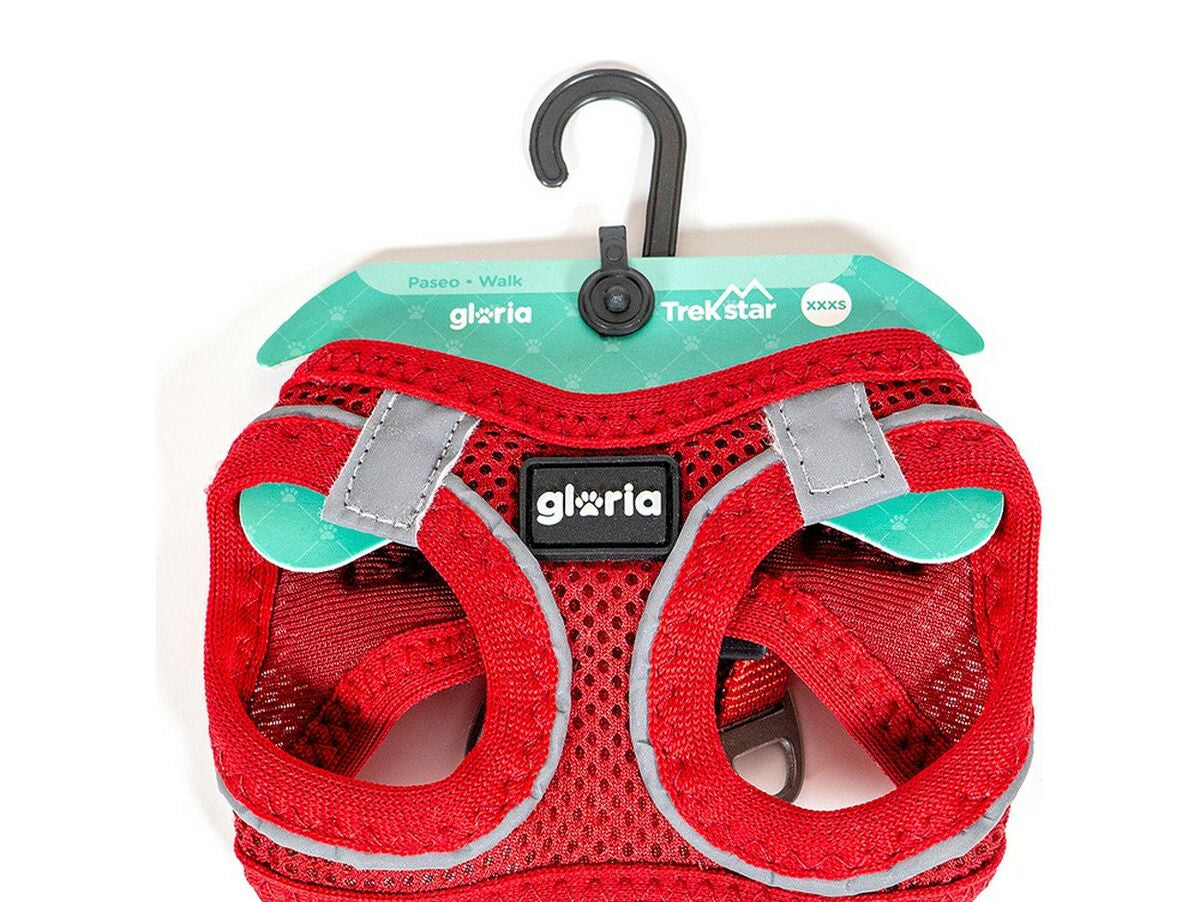 V10H98995739AC6C8324DD254B407B77A7B7R5597826P2