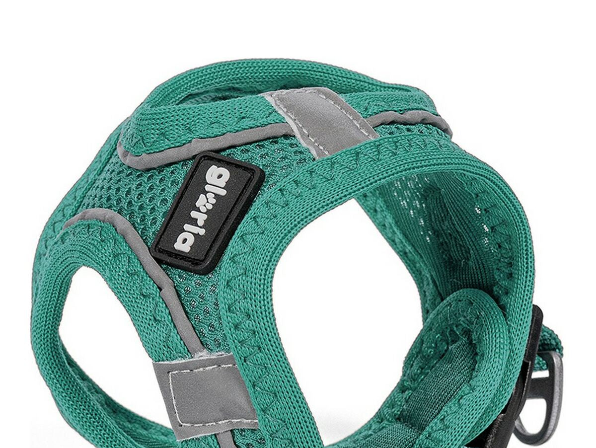 V10HBD176351E1ED5572A444F0DBB095D4B3R5597797P2