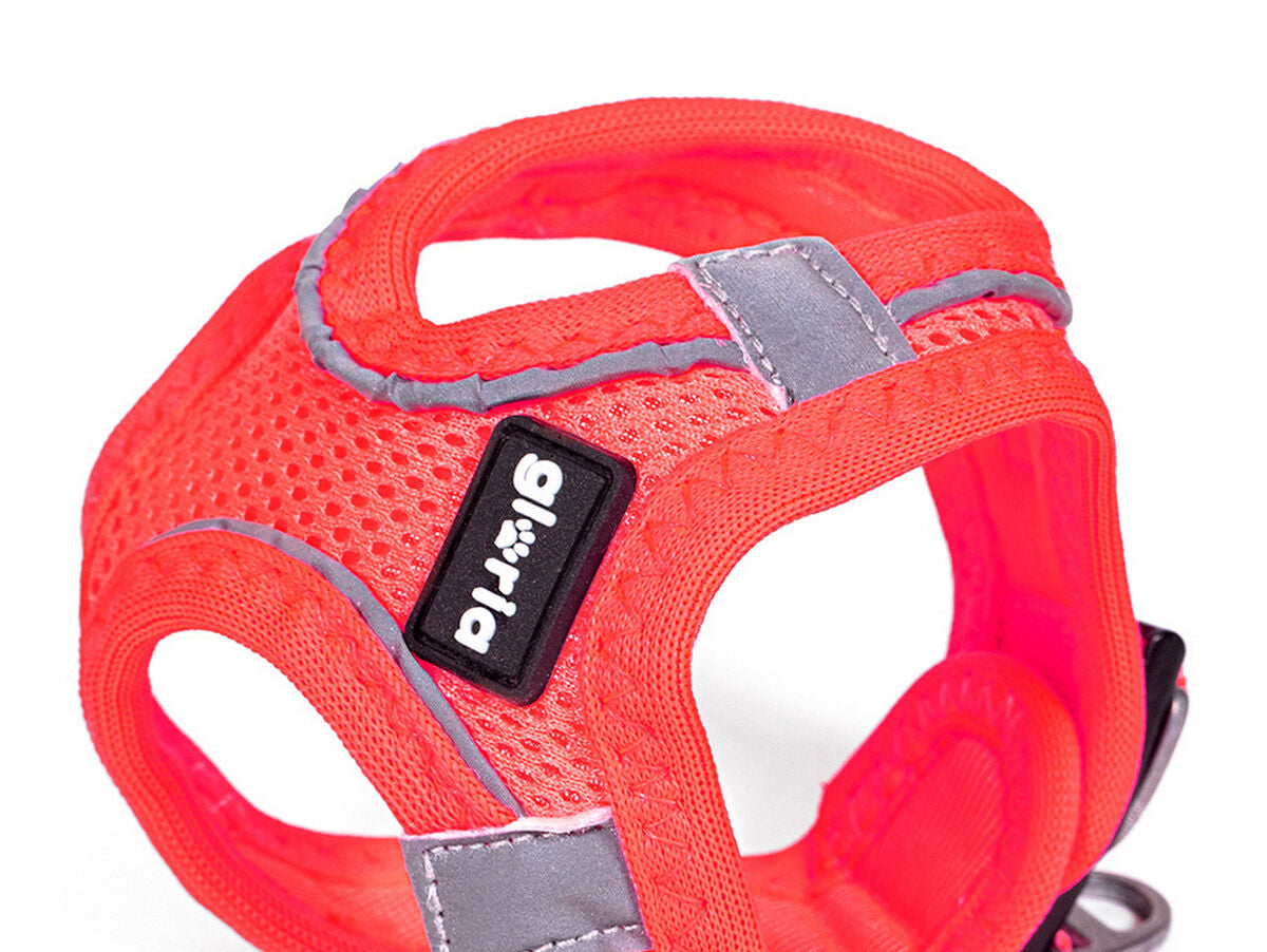 V10H6A6BD526F5C0068DB3FE8B8FCC97A950R5597812P1