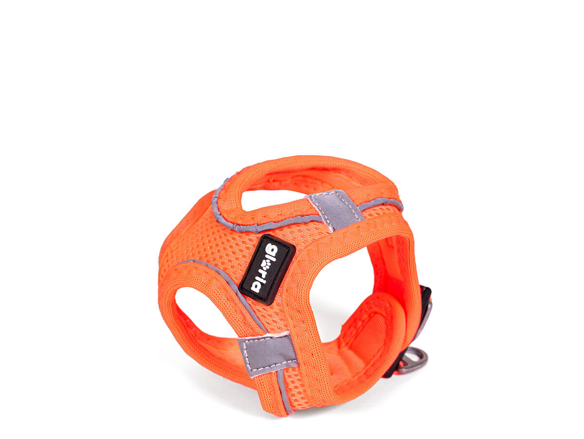 V8HF2844E889912B160C5AF1BFCACAB5861R5597772P2