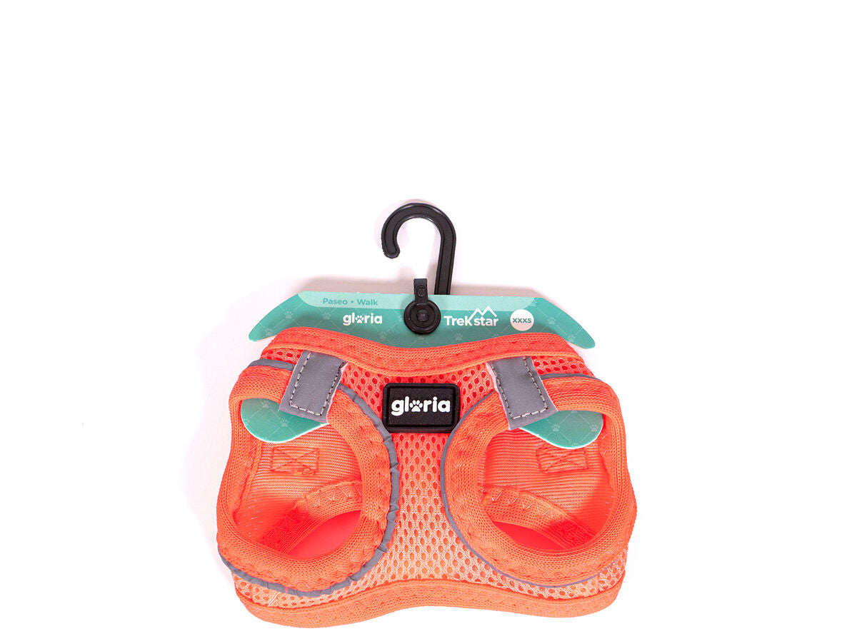 V8H6B7BE782EF9A7B1827D5AFD367D5C9FDR5597775P3