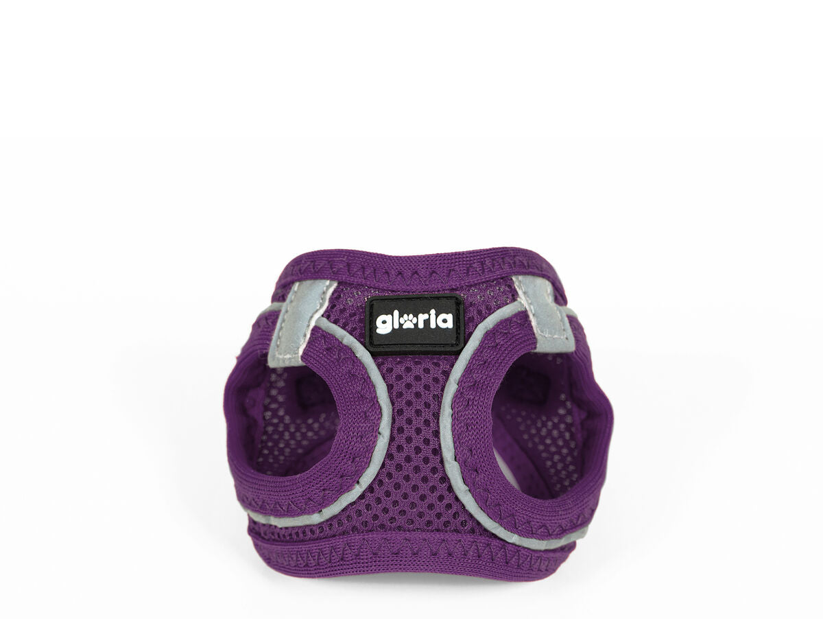 V8H42A45F06A828DADDFEEB7C4475282B0DR5597805P6