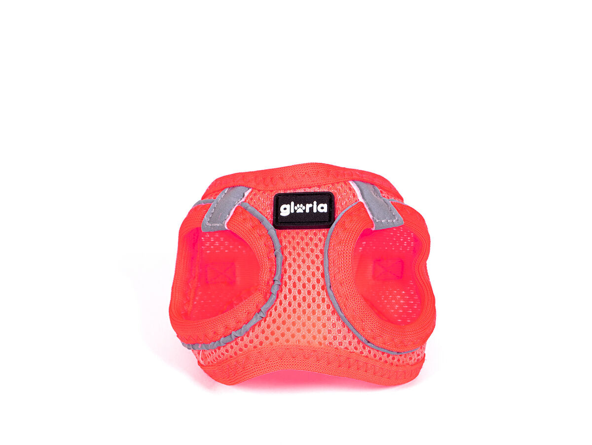 V8HC42D316346E175DACDF405E0042367FCR5306782P1