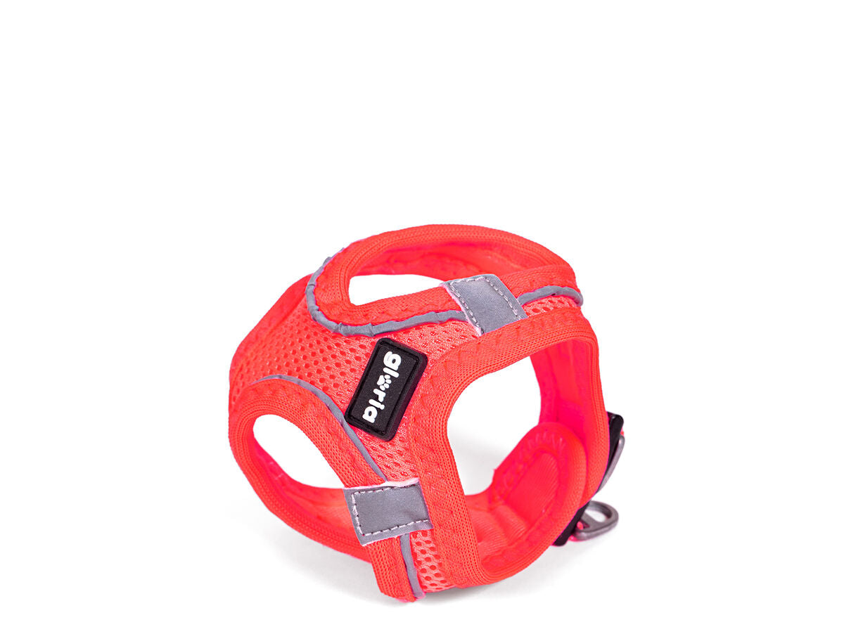 V8H245C395AAA2B0D9919855A738CDE1D91R5306783P2