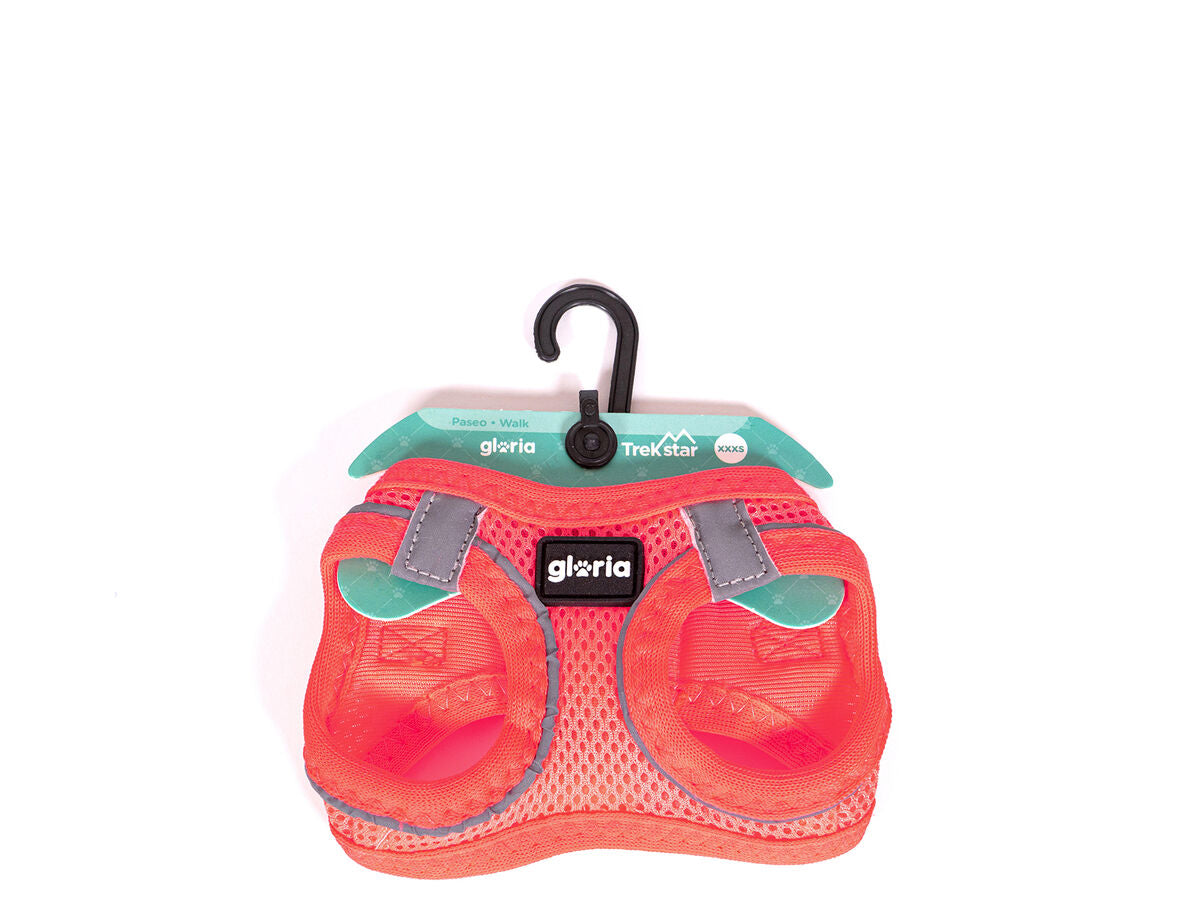 V8H80939CA8B95D1E98E9DE85ED54498450R5306787P6