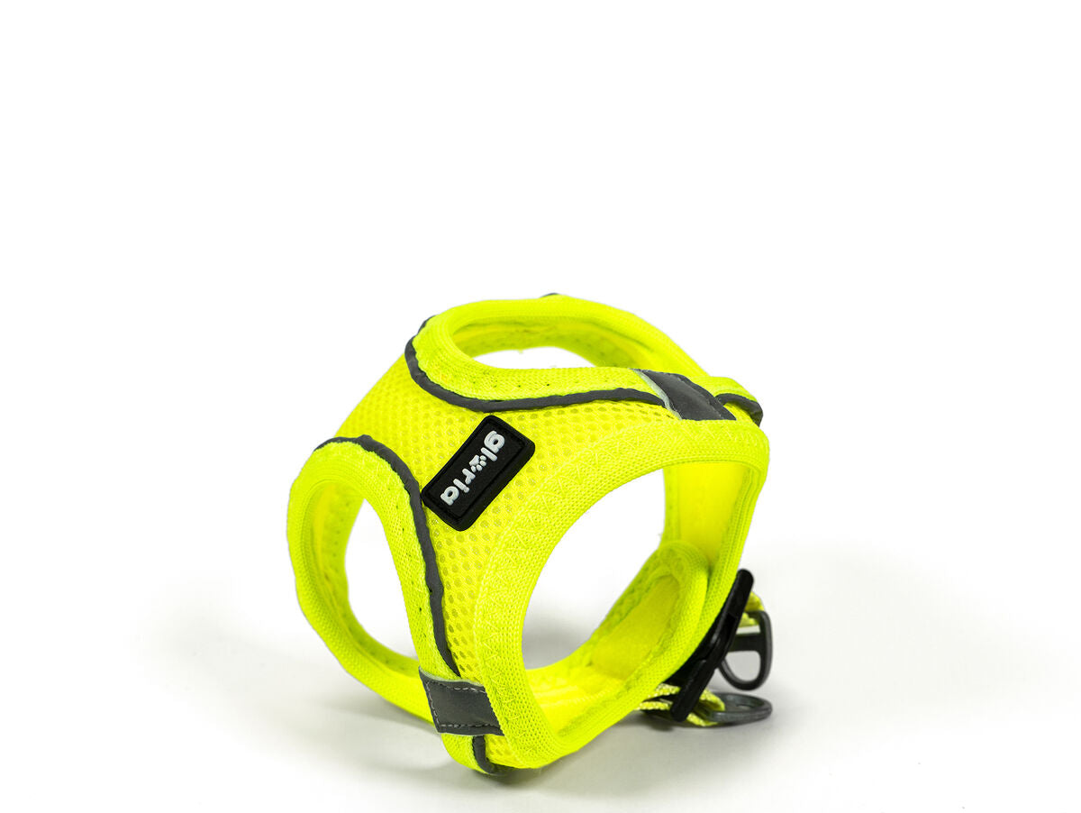 V8H382A0C97000D8514475013FA50D7E58AR5597787P1