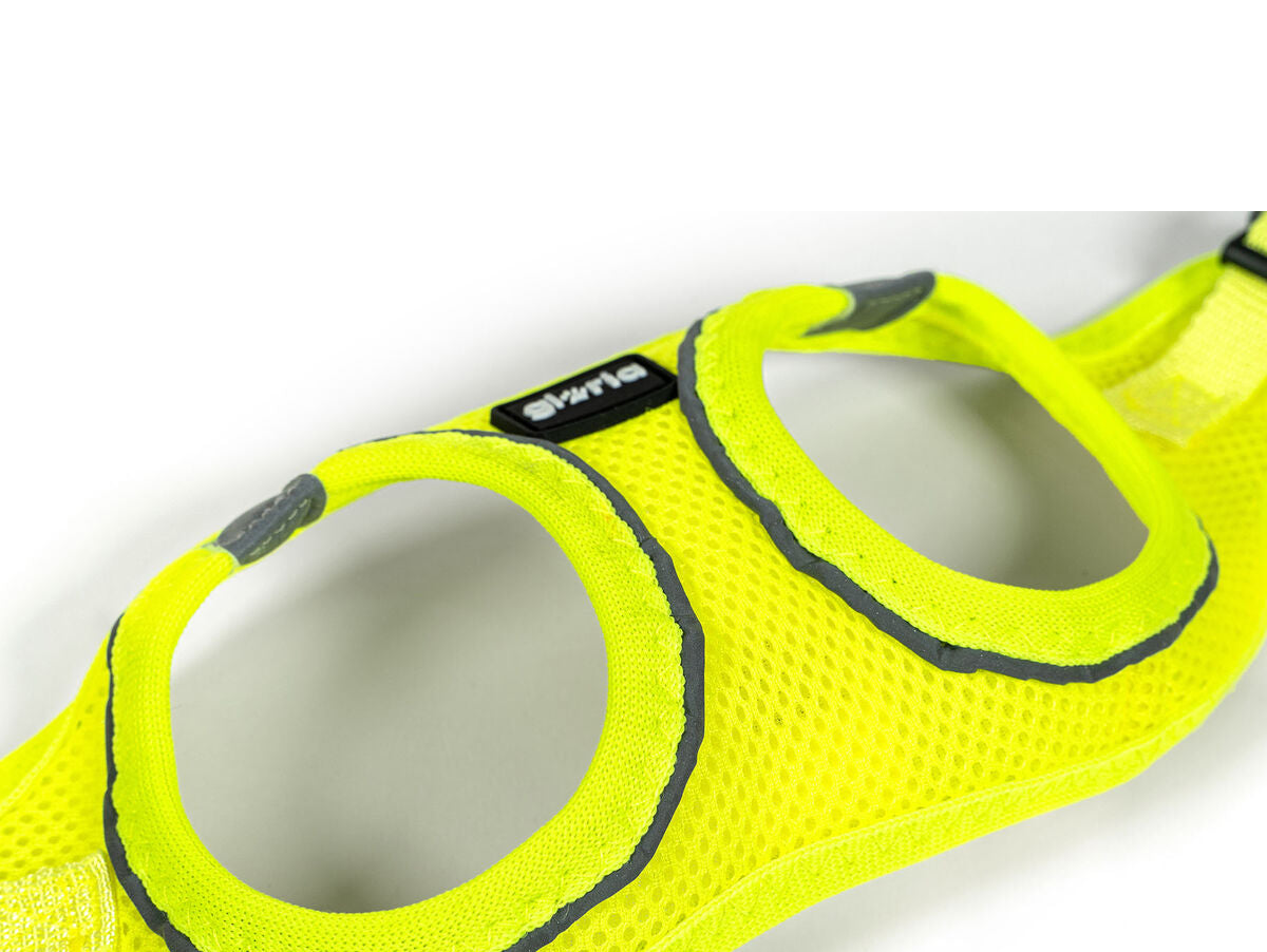 V8HCD49F6DB73D07158C374B6144F99DB62R5597789P3