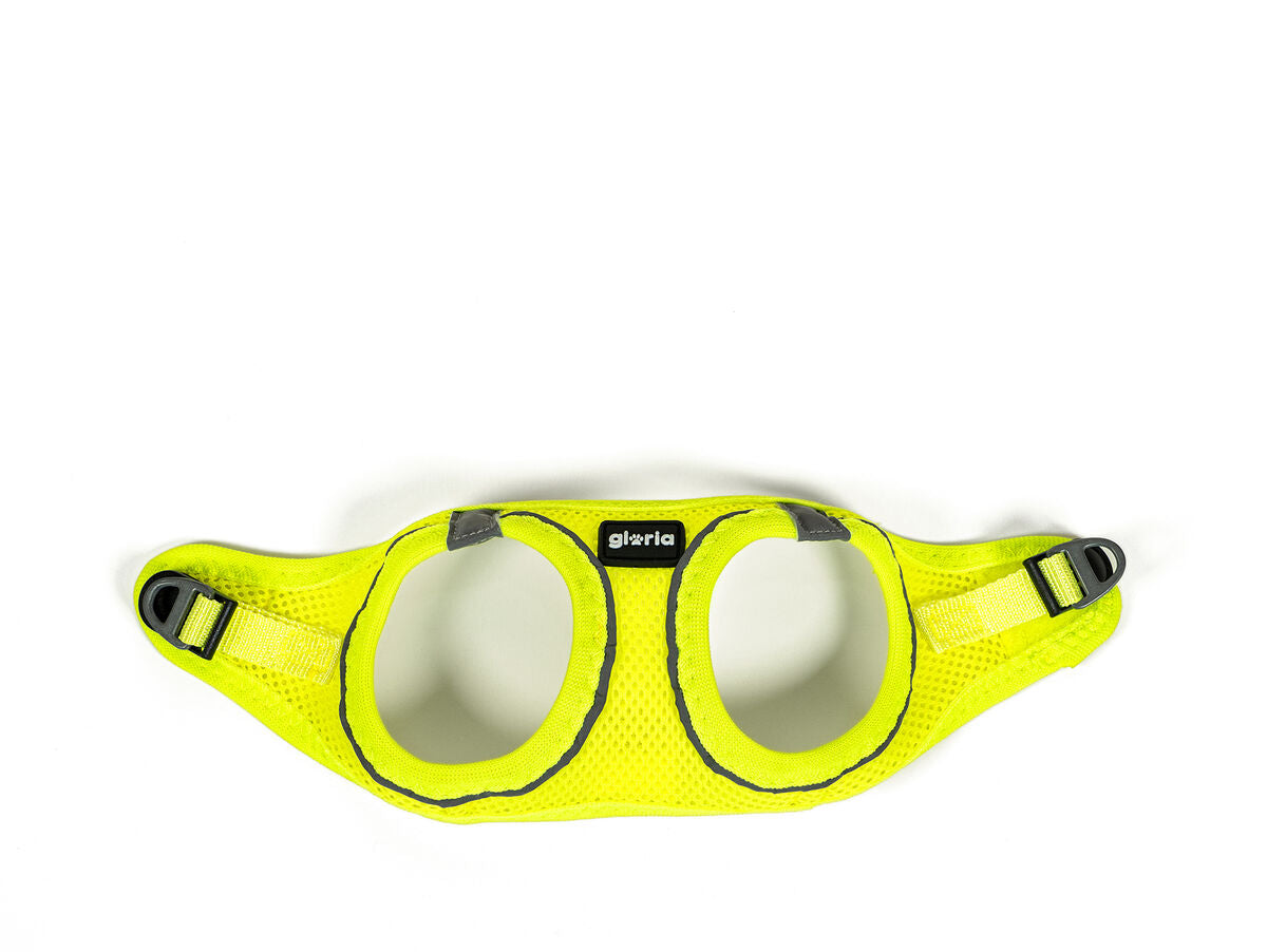 V8H13697307A07884DFF6E3C25984B2DA08R5597791P5