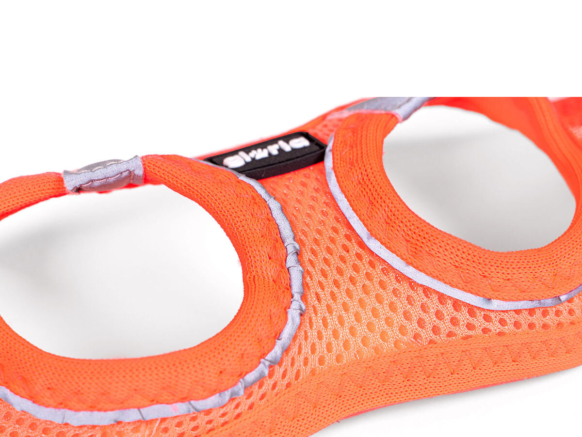 V8H3D5B814D2C53D2FF0A4DBC86C87DE220R5597869P5