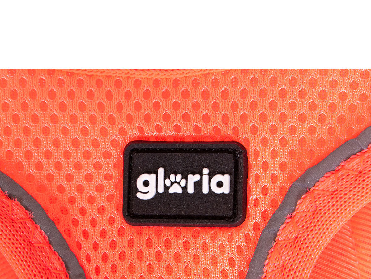 V8HD8ABD98CC95A4465E638E0457BFDC221R5597870P6