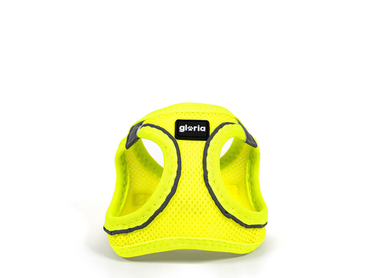 V8H1BCEB48DEA15445AD696AD07C0030179R5597835P3