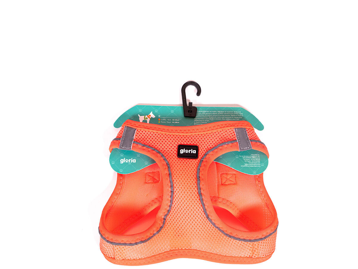 V8HCCFFA3062AD52E02A3E5E9EBE6DE3C52R5362066P2