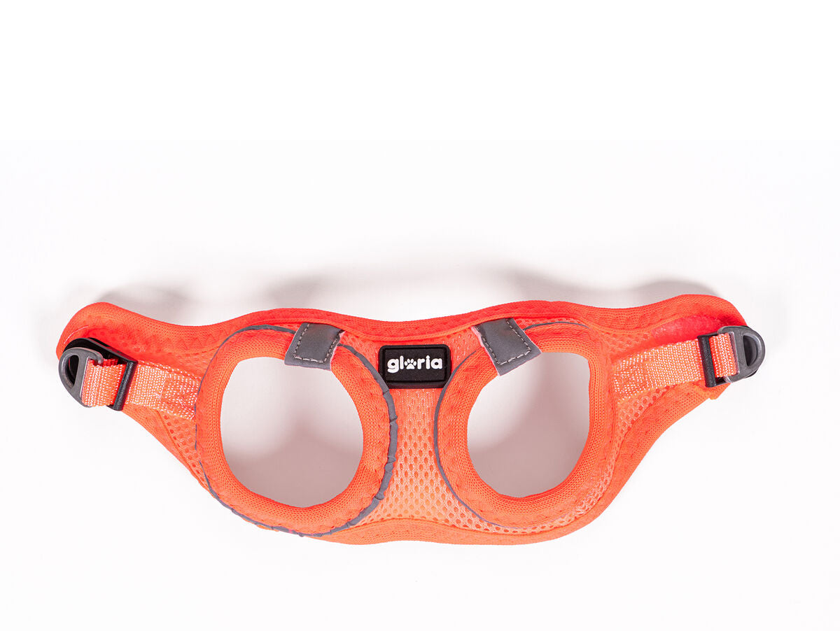 V8HE4A76DE7A1A0EE330131D2E5E137FB07R5362067P3