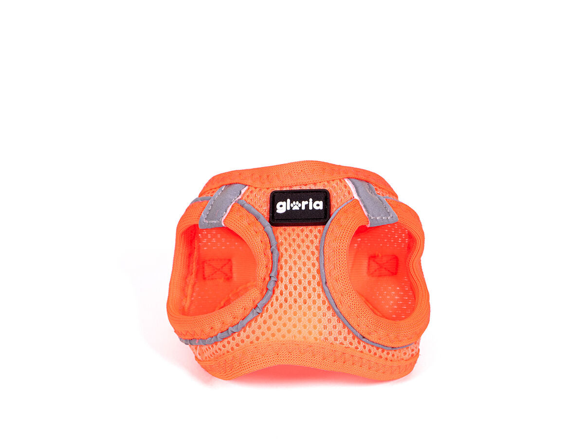 V8H690A80A8058829A76FF5A95844ED7573R5362071P6