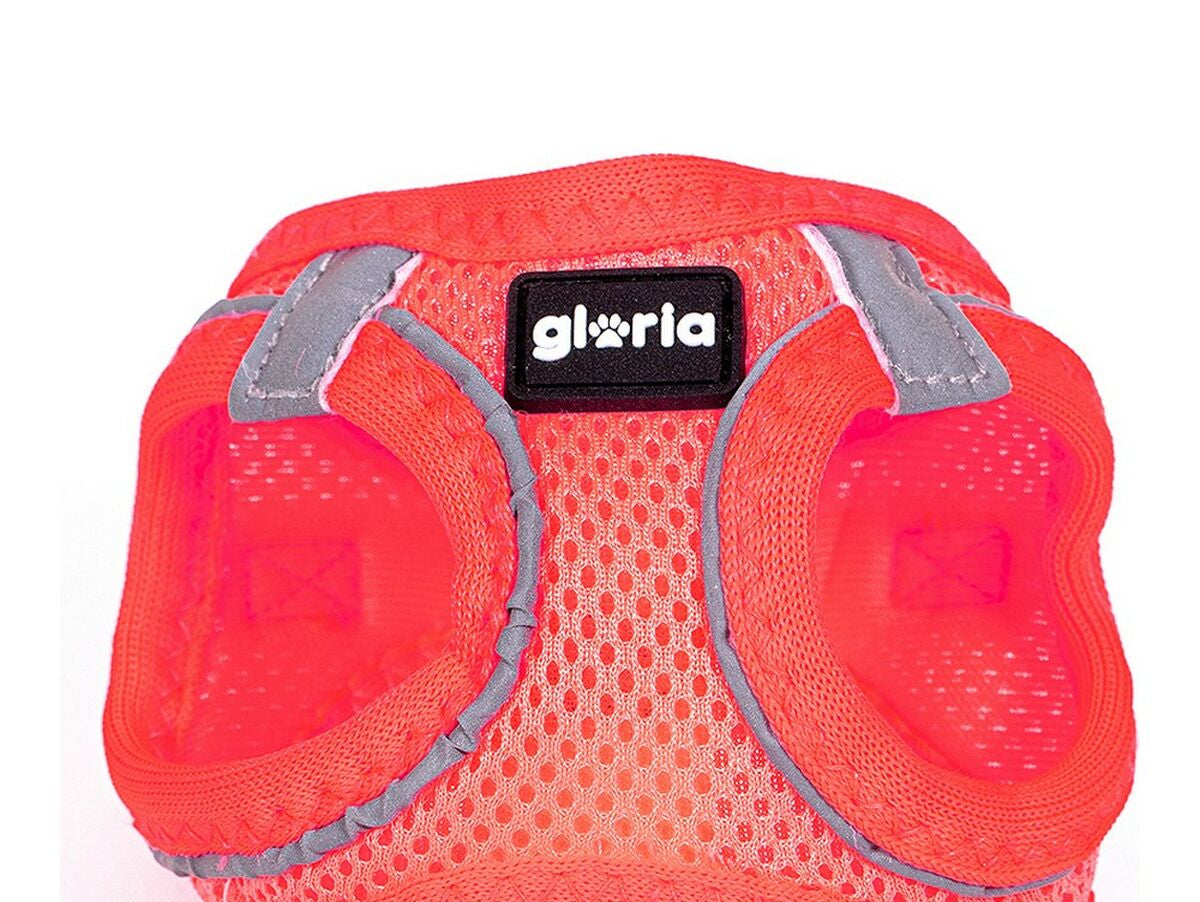 V11H19DF9AB8EB4B2FF787B1664A49A15FCBR3943709P1