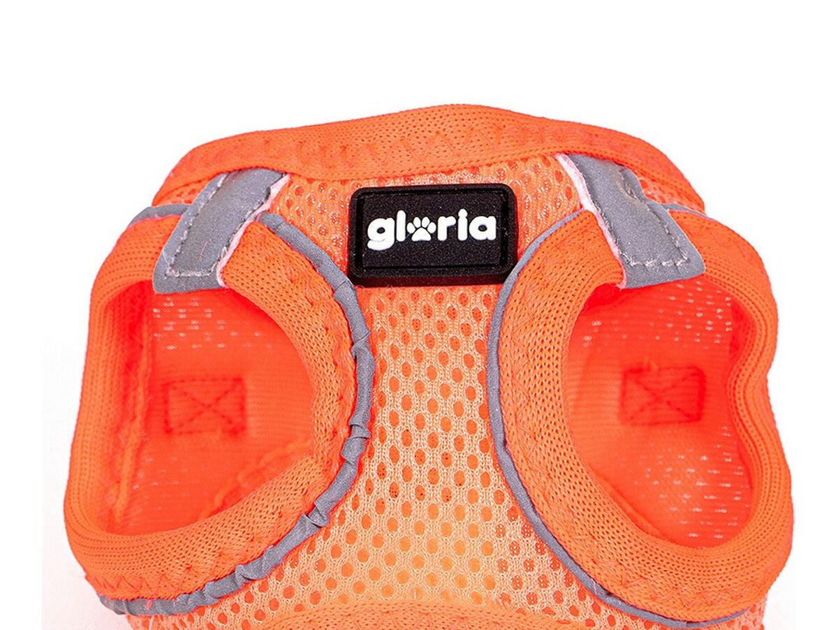 V11H411691C2001689282494A55F9FABB9EDR3943696P4