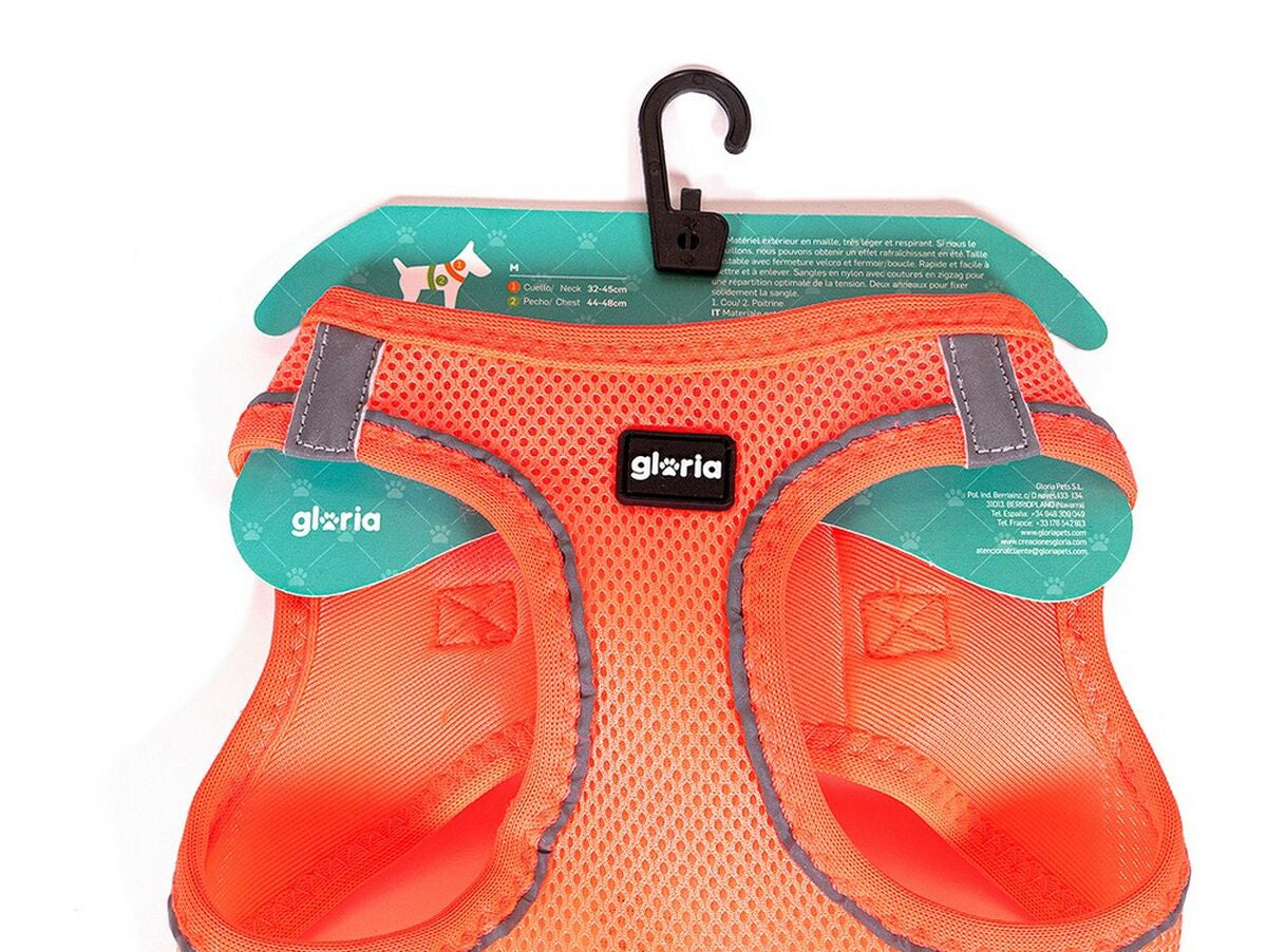 V11H4438164511B1A18CF23FD93A5D32ABC7R3943694P2