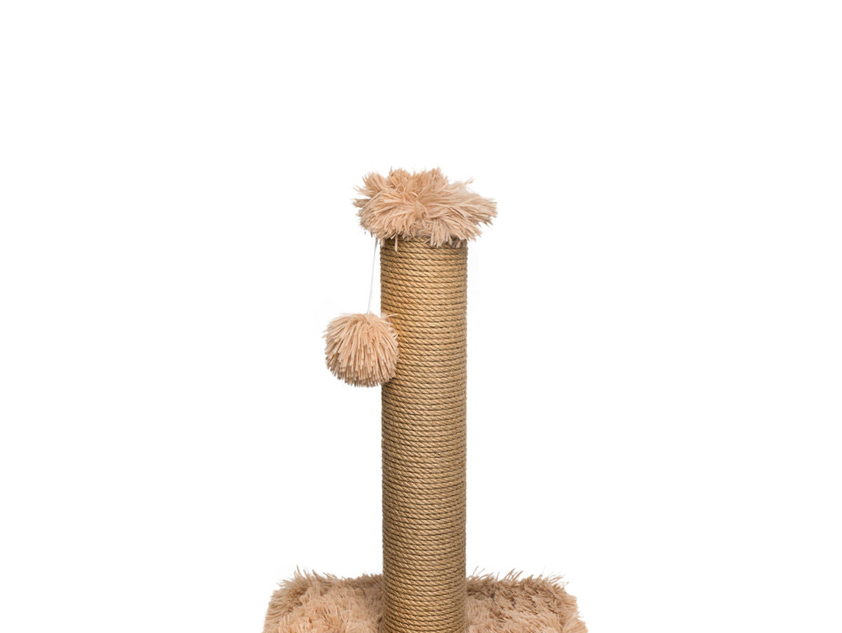 V8HE36FDEF86DB77E6148E6175D1368301FR3876380P2